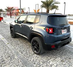 جيب رينيجيد